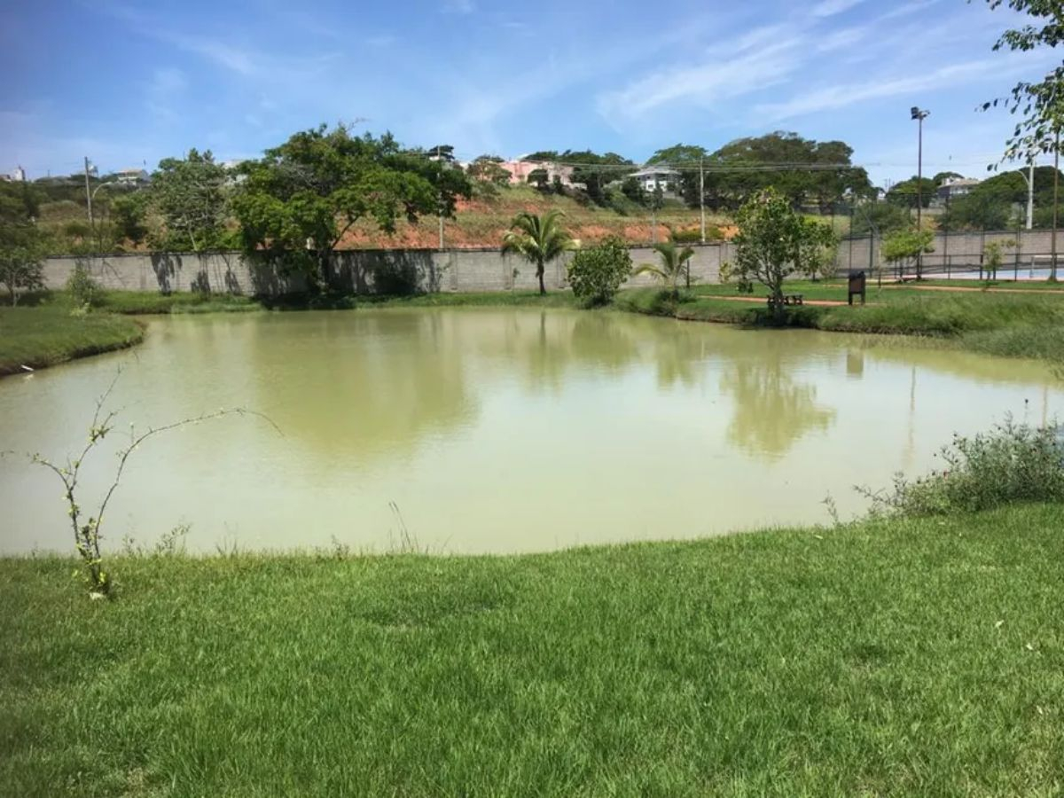 Terreno, 772 m² - Foto 11