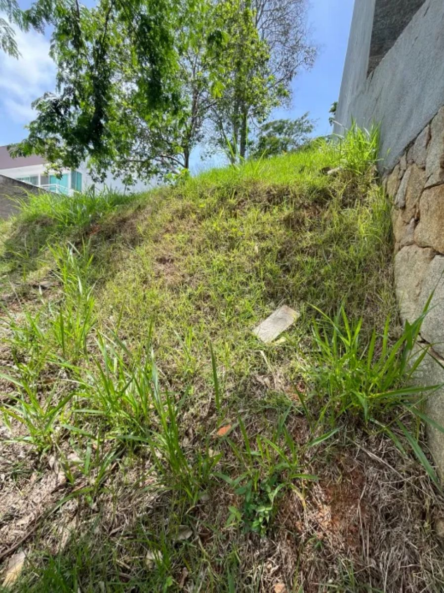 Terreno, 450 m² - Foto 2