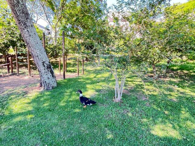 Área para Venda em Macaé - 4