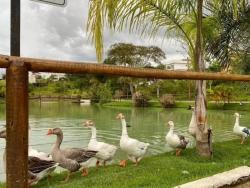 #22-4516/06 - Terreno para Venda em Macaé - RJ - 2