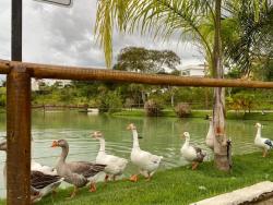 Terreno para Venda em Macaé - 5