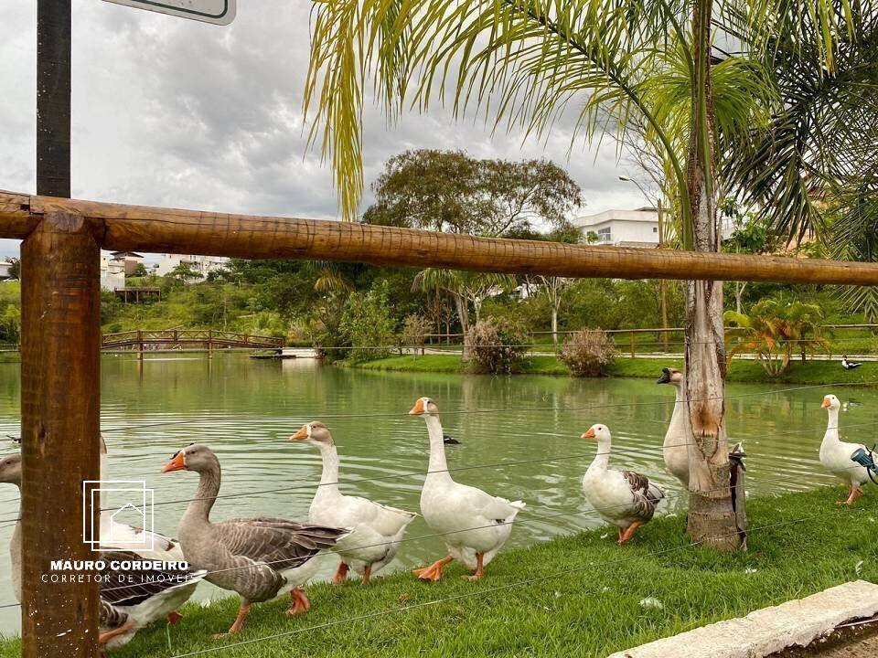 Terreno, 556 m² - Foto 11