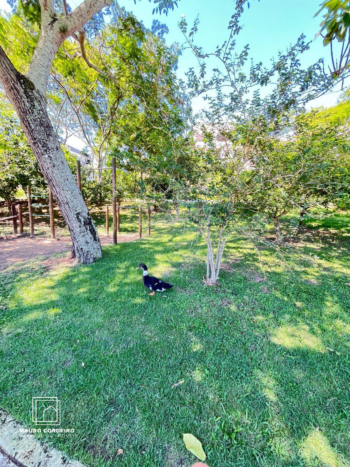 Terreno, 300 m² - Foto 9