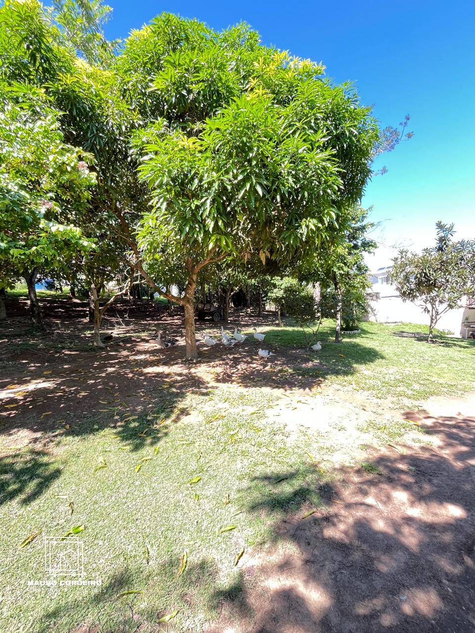 Casa, 4 quartos, 200 m² - Foto 20
